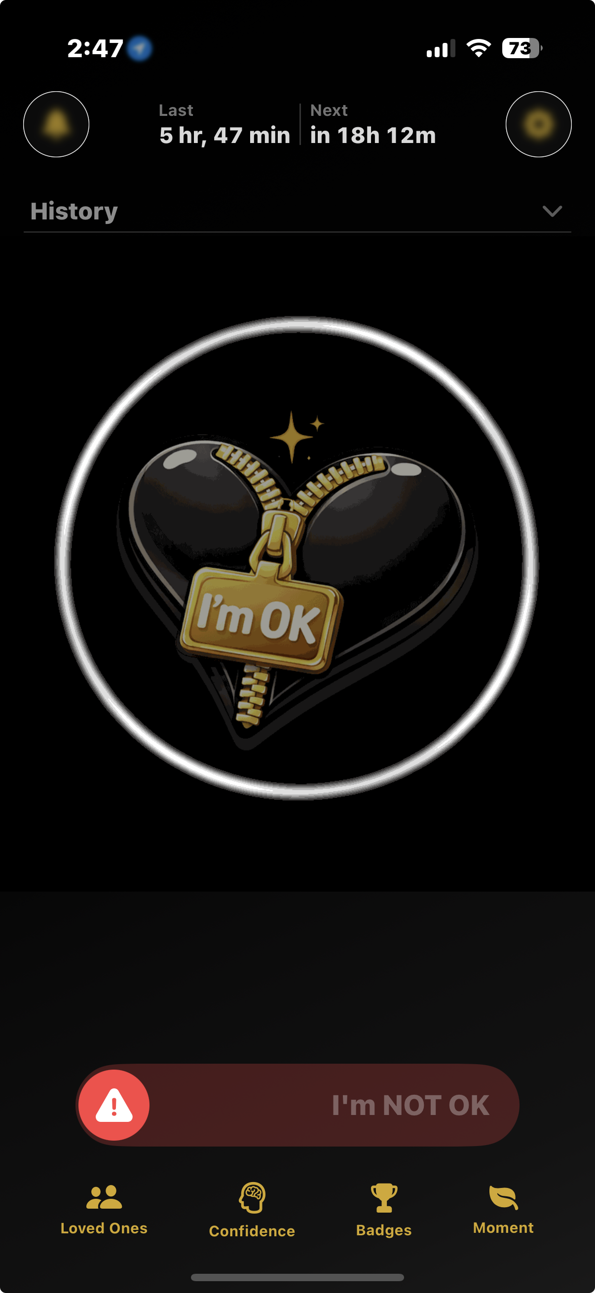 I'm OK Alert app screen